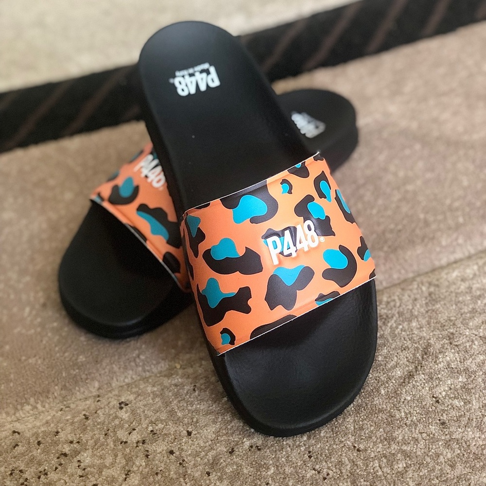 P448 slides